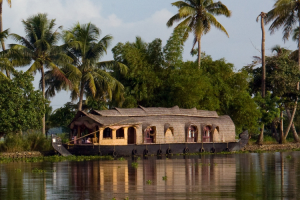 Untitled design - 2024-11-11T190531.873